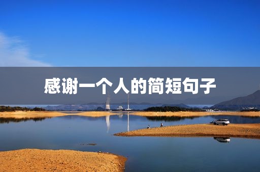 感谢一个人的简短句子