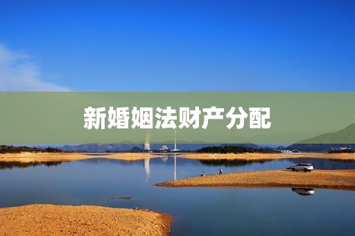 新婚姻法财产分配