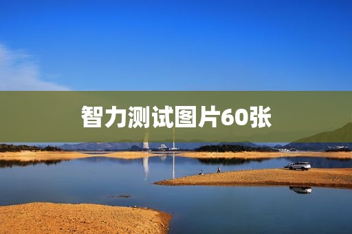 智力测试图片60张