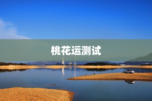 桃花运测试