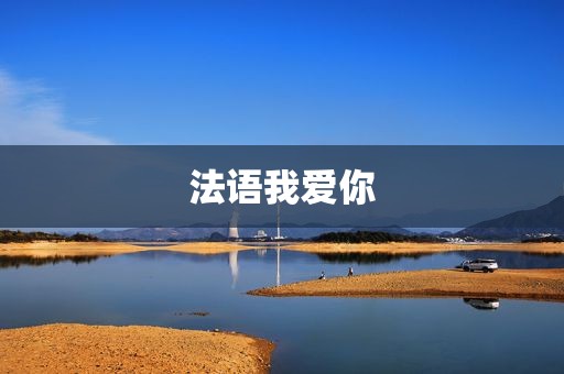 法语我爱你