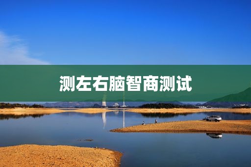 测左右脑智商测试