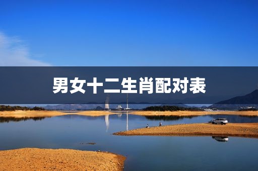 男女十二生肖配对表