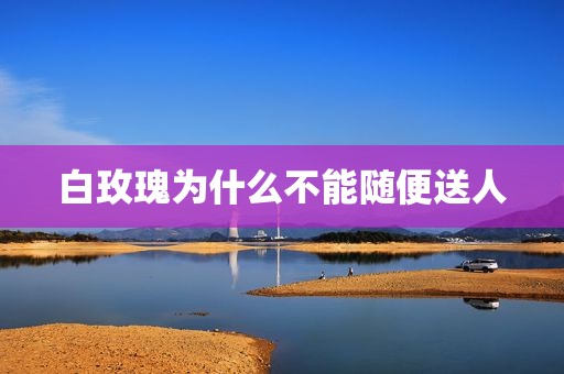 白玫瑰为什么不能随便送人