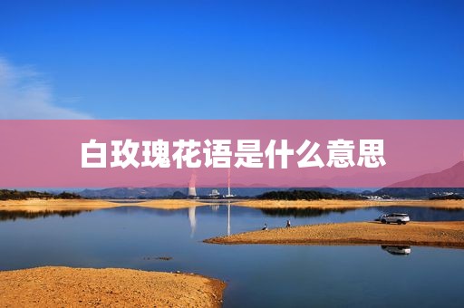 白玫瑰花语是什么意思