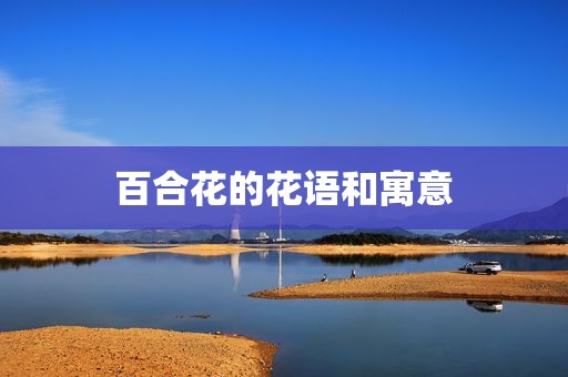 百合花的花语和寓意