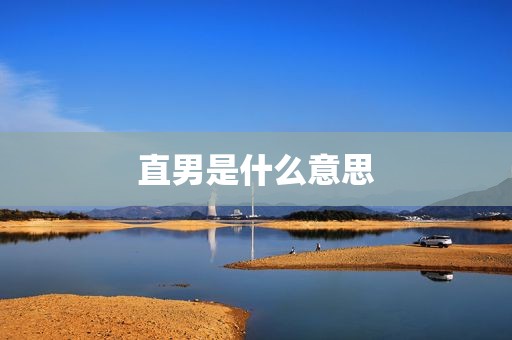 直男是什么意思