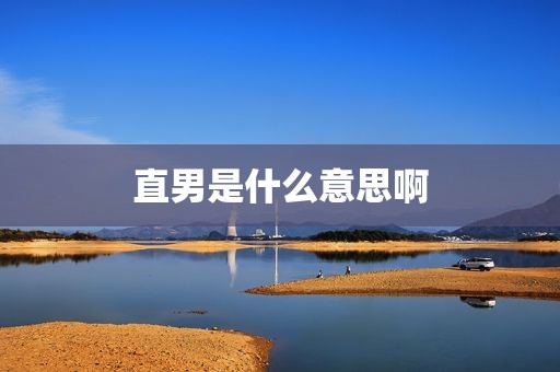 直男是什么意思啊