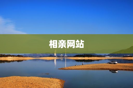 相亲网站