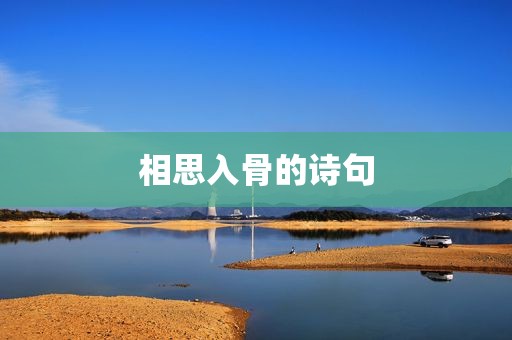相思入骨的诗句