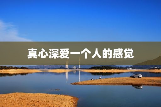 真心深爱一个人的感觉