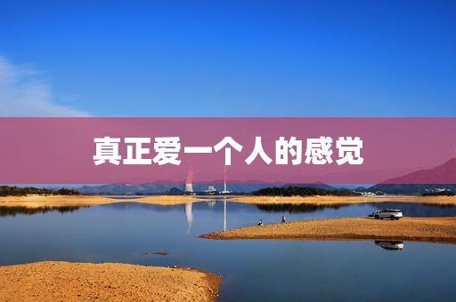 真正爱一个人的感觉