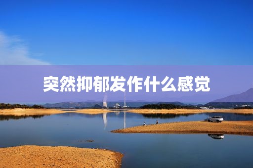 突然抑郁发作什么感觉