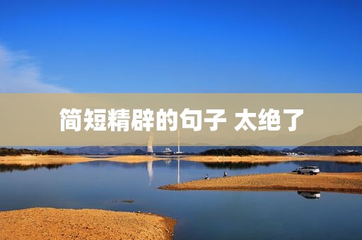 简短精辟的句子 太绝了