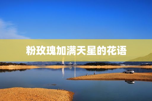 粉玫瑰加满天星的花语