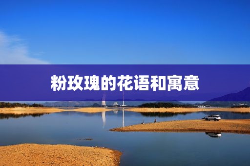 粉玫瑰的花语和寓意