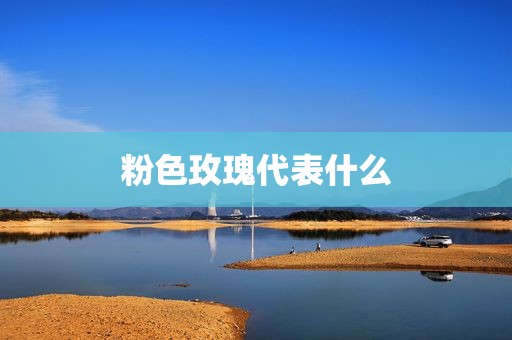 粉色玫瑰代表什么