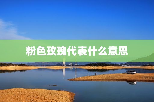粉色玫瑰代表什么意思