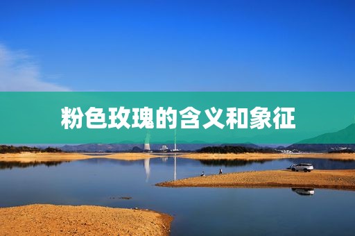 粉色玫瑰的含义和象征