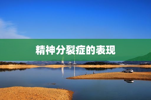 精神分裂症的表现