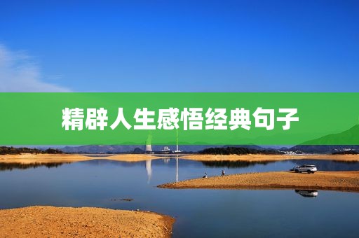 精辟人生感悟经典句子