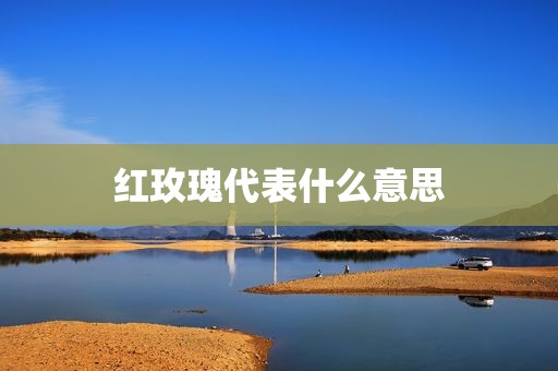 红玫瑰代表什么意思