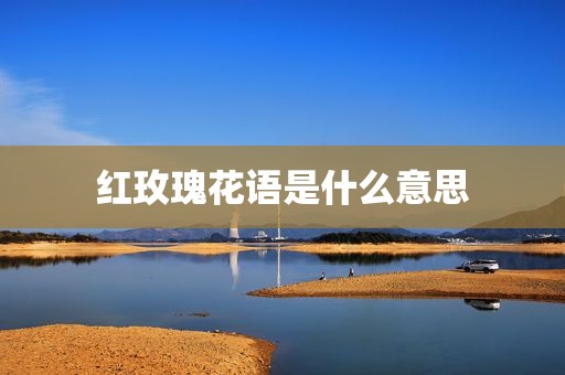 红玫瑰花语是什么意思