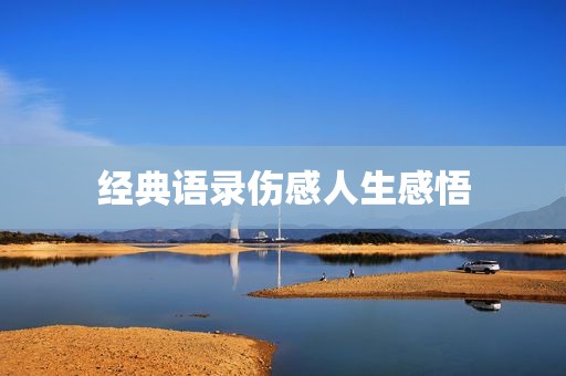 经典语录伤感人生感悟