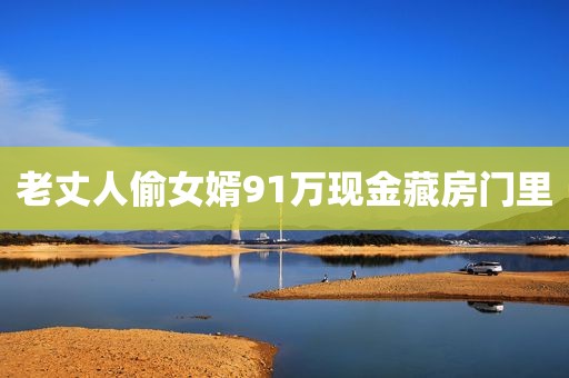 老丈人偷女婿91万现金藏房门里