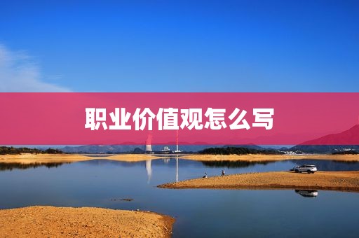 职业价值观怎么写