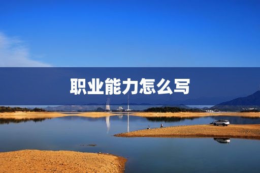 职业能力怎么写