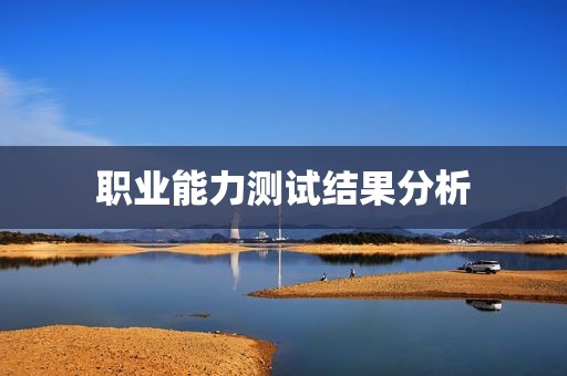 职业能力测试结果分析