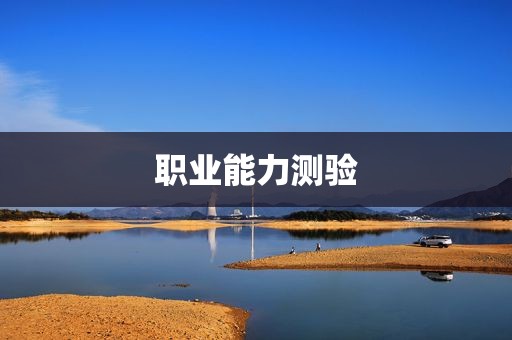 职业能力测验