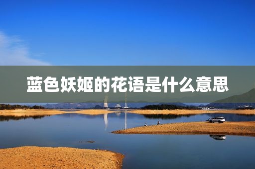 蓝色妖姬的花语是什么意思