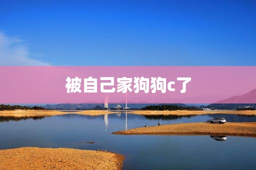 被自己家狗狗c了