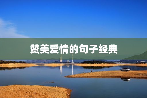 赞美爱情的句子经典