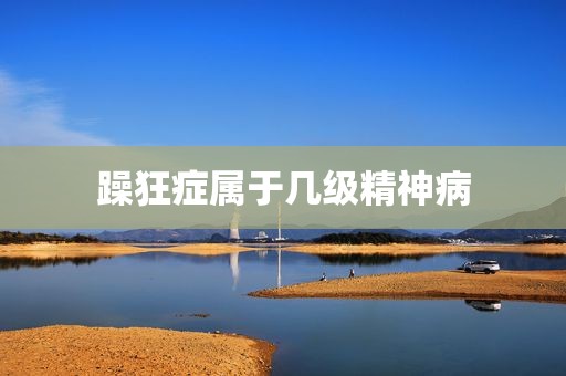 躁狂症属于几级精神病