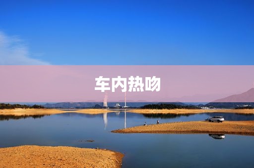 车内热吻