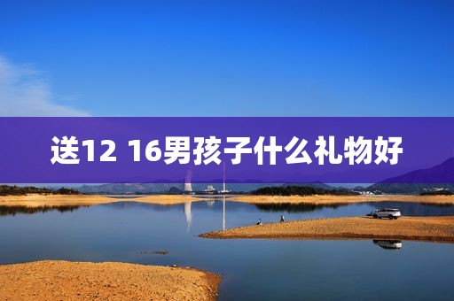送12 16男孩子什么礼物好