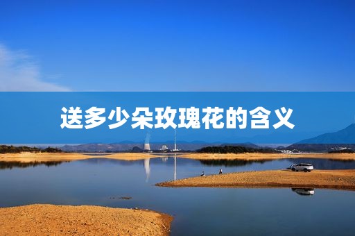 送多少朵玫瑰花的含义