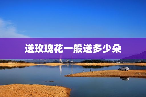 送玫瑰花一般送多少朵