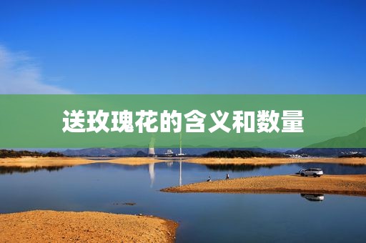 送玫瑰花的含义和数量