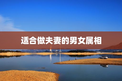 适合做夫妻的男女属相