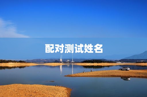 配对测试姓名