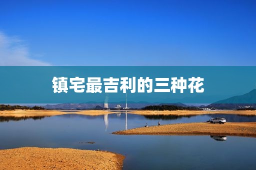 镇宅最吉利的三种花