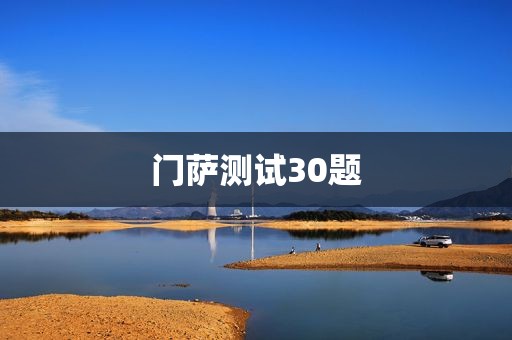门萨测试30题