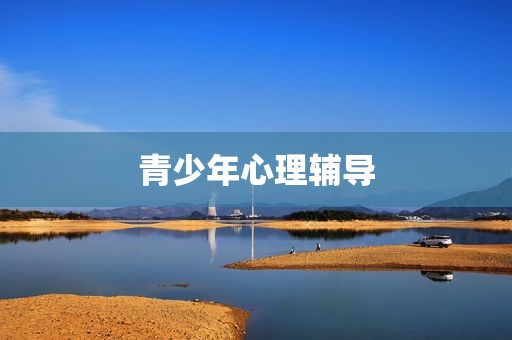 青少年心理辅导