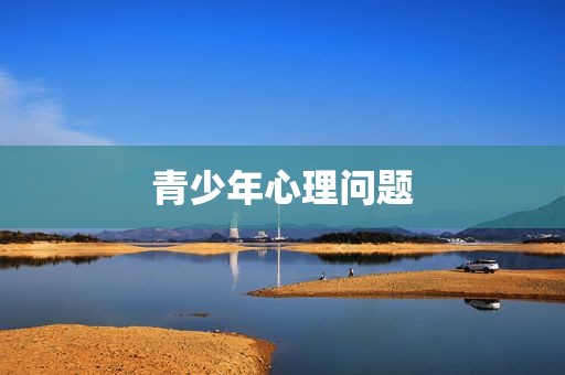 青少年心理问题
