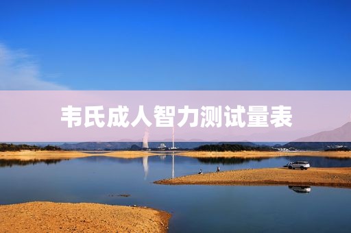 韦氏成人智力测试量表