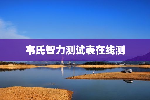 韦氏智力测试表在线测